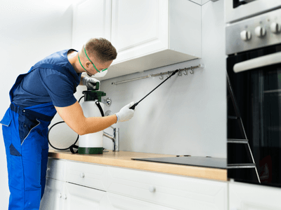 About RockyLine Pest - residential pest control experts in Kyle